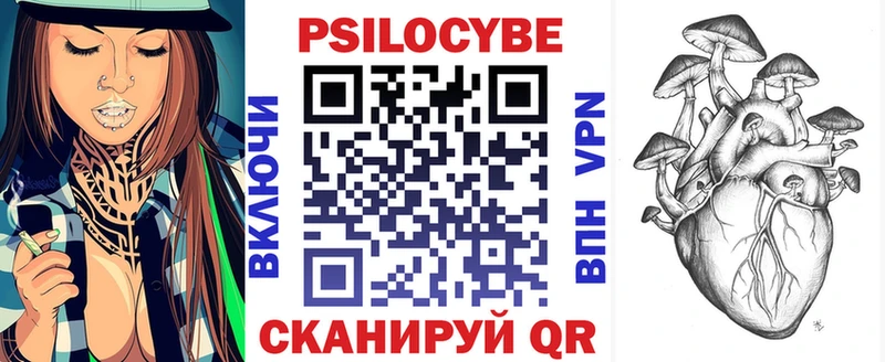 Галлюциногенные грибы Psilocybine cubensis  Абинск 