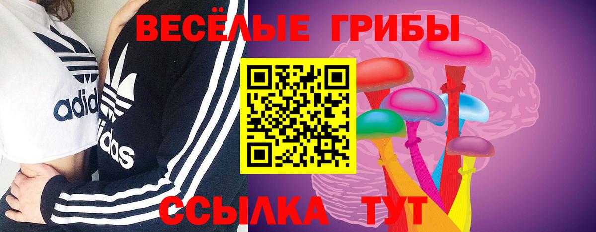 Псилоцибиновые грибы Magic Shrooms  где купить   Абинск 